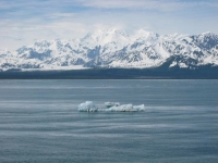 calved-glaciers-floating-by