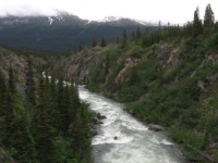 wider-view-from-yukon-suspension-bridge