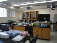 lab