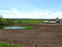 farmland-1