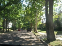 St. Louis Neighborhoods