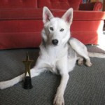 Day 14 ~ The Hound and the Fury