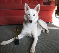 Day 14 ~ The Hound and the Fury