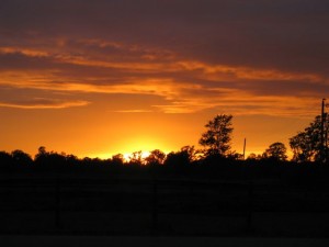 Evolution of a Novel – Part 4 – Symbolism