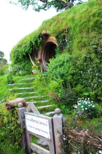 The Cave and A Great Deal