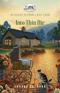 Book Cover for Into Thin Air by Sandra Orchard